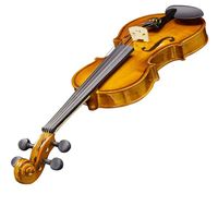 New 3/4 Acoustic Violin Set with Hard Case Bow Shoulder Rest Rosin Extra Strings and Sourdine