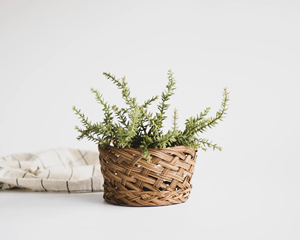 Vintage Woven Plant <b>Basket</b> <b>Small</b> Bamboo Planter Farmhouse Decor Natural Rattan <b>Storage</b> Flower Pot Wholesale Supplier Manufacture - Product Image 1