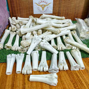 Hueso de pierna de búfalo blanco natural en forma de medio tubo para artesanías vikingas y tradicionales a precio económico. - Product Image 4