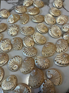 Conchas de abulón perforadas al por mayor con orificio para la fabricación de joyas, collares, pendientes, manualidades DIY, suministros de Vietnam - Product Image 4