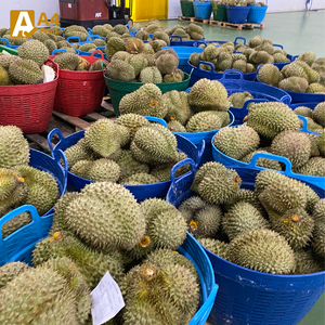 Durian Monthong thaïlandais frais, fruit entier |   Qualité supérieure |   Pulpe douce et crémeuse |   0,5 kg/fruits |   13,5 cm |   Khey Taladthai |   23 - Product Image 3