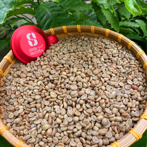 Grains de café Arabica Vert Spécial Non Torréfiés 99% Mûrs Processus Honey Wash OEM ODM Vente en Gros B2B Sac de 1Kg Usine Vietnam Top - Product Image 4
