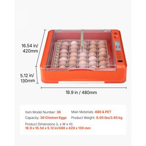 Incubatrice per 36 Uova con Rotazione Automatica, Visore LED, Vassoio per Acqua, Controllo Temperatura e Umidità, Visione a 360°, Efficienza Energetica Elettrica - Product Image 4