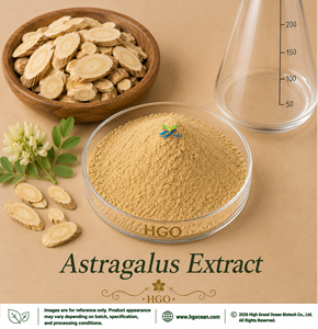 โรงงาน HGO จัดจำหน่ายโดยตรง สารสกัดจากรากอัสตราแกลส (Astragalus membranaceus) (เกรดอาหารเพื่อสุขภาพ) 4:1 5:1 10:1 20:1 100:1 200:1 - Product Image 1