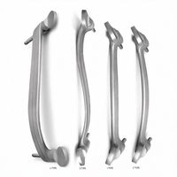 Kit de 4 pinces à oreilles réutilisables en acier inoxydable, type C I S L, pour la chirurgie et le toilettage des animaux de compagnie