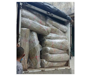 Toiture en chaume de palmier durable, conforme aux normes d'exportation, pour gazebo, jardin et complexe hôtelier. - Product Image 6