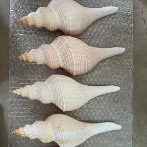 Anillo decorativo vietnamita para servilletas, soporte para servilletas con diseño de caracol y concha marina para cenas festivas y cocinas domésticas. - Product Image 1