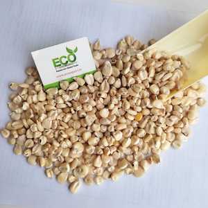 Bán Ngô Trắng H 2 Chất Lượng Hàng Đầu Ngô Lai Xuất Xứ Ấn Độ Với Giá Thấp Với Đóng Gói Xuất Khẩu Tốt Từ Ấn Độ - Product Image 5