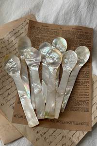 Cuillère en coquillage naturel faite à la main du Vietnam, ustensile de service pour collations et trempettes, décoration de maison côtière, cadeau de plage, fournisseur en gros - Product Image 5