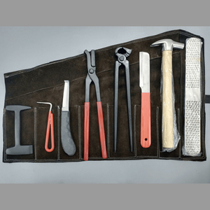 Ensemble d'outils de ferrage pour chevaux en acier inoxydable durable, kit de toilettage équin réutilisable, instrument vétérinaire, modèle Ortho Genix OG-AM-3090 - Product Image 1