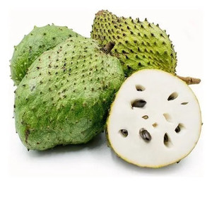 Guanábana Congelada Premium, 100% Fruta Tropical Fresca de Vietnam, Mejor Precio para Mercados de Exportación al por Mayor - Product Image 1