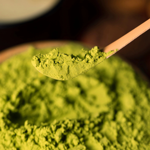 WARRLY Extracto de Hoja de Moringa Orgánico en Polvo 99% Puro Grado Alimenticio Suministro a Granel Natural en Botella - Product Image 1