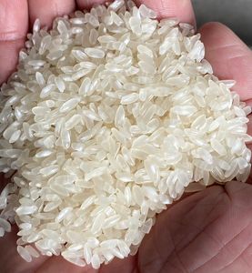 ข้าวเมลิน่าเมล็ดสั้น แห้งแข็ง ผลผลิตใหม่ ปี 2026 คุณภาพพรีเมียม บรรจุภัณฑ์ 1กก.-50กก. รับผลิตแบบ OEM - Product Image 6