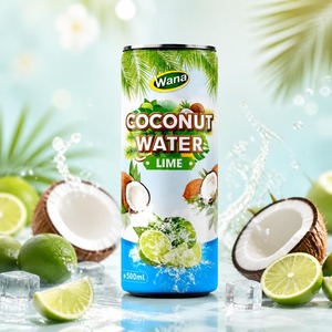 Eau de coco naturelle au citron vert 500ml, boisson en conserve, OEM ODM, marque privée, vente en gros, fabricant de boissons vietnamien, fournisseur B2B - Product Image 2