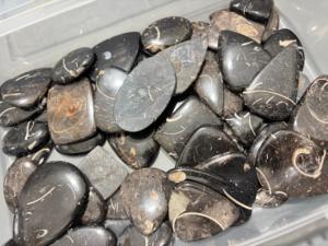 Jaspe Fósil Negro Natural en Formas Mixtas, Gemas Pulidas Sueltas, Piedras Cabujón - Product Image 2
