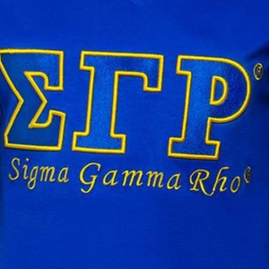 T-shirt personnalisé Sigma Gamma Rho pour femme, col en V, manches courtes, coton, décontracté, streetwear, logo personnalisé, vente en gros - Product Image 5