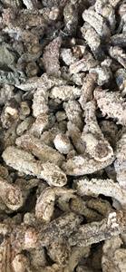 Premium Vietnamese Dried Sea Cucumber 2025 Top Quality Naturally Processed For Export - Product Image 3