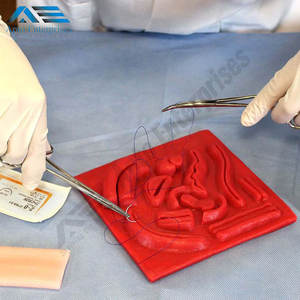 Piel simulada para almohadillas de práctica de sutura Almohadilla de sutura de tejido suave de alta calidad Entrenamiento quirúrgico Instrumentos médicos Almohadillas de sutura - Product Image 3