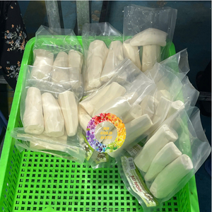Exportación de Yuca Congelada de Vietnam, Vegetales Exóticos, Vegetales Tropicales para Mayoristas, Vegetales Orgánicos de Raíz - CARYLN - Product Image 1