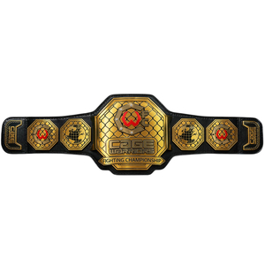 Cinturón de Campeonato de MMA Personalizado de ONYX INDUSTRY Hecho en Pakistán, Placa de Metal Chapada en Oro/Plata 3D, Cuero Premium para Boxeo, Venta al Por Mayor - Product Image 1