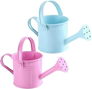 Best Selling Premium Metal Watering Can with Elegant Long Spout for <b>Succulent</b> Plants and Flower <b>Pot</b> Watering - Product Image 1
