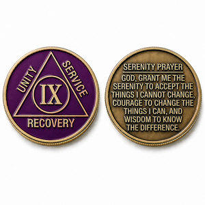 Personalized OEM Full Set AA Sobriety Coins Manufacture Zinc Alloy Soft Enamel Gold Plated Bulk Wholesale Recovery Medallions - Product Image 6