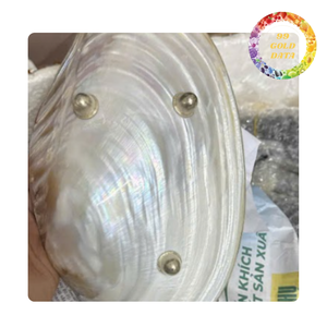 Mother of pearl dish from Viet Nam | Item for decoration and gifting - Product Image 4