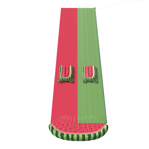 Trượt nước <span class=keywords><strong>Inflatable</strong></span> cho trẻ em người lớn trượt nước cho bodyboards đồ chơi mùa hè với xây dựng trong phun nước cho sân sau nước đồ chơi - Product Image 3