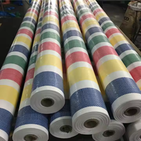 Bâche en PE de haute qualité pour la construction industrielle, imperméable et résistante à l'humidité, en matière première LDPE, pour échafaudages