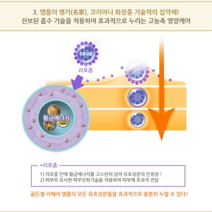 Sérum réparateur pour la peau Golden Cell Repair de Korea K-Beauty, 10 ml, 5 ampoules avec des ingrédients de niacinamide, de peptides et d'or - Product Image 5