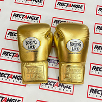 Gants de boxe dorés de qualité supérieure, sans logo, personnalisables, pour entraînement et combat, avec lacets.