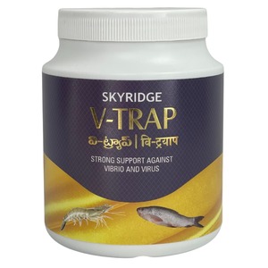 Skyridge V Trap Aquaculture Health Supplement Anti Vibrio Virus Protection for Fish Shrimp Immune Booster <b>Feed</b> <b>Additive</b> Pro Use - Product Image 1