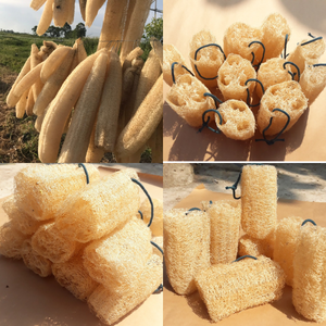 Natural Loofah Cleaning Sponge Eco Friendly Scouring Pad Quick Drying Rectangular Scrub Brush for Kitchen and Bath - Product Image 4