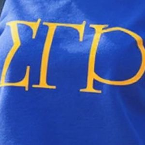 Sudadera con cuello redondo Sigma Gamma Rho, personalizada para hermandades griegas, de forro polar, estilo universitario, casual, streetwear, moda al por mayor - Product Image 2