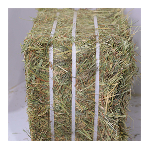 หญ้าทิโมธีพรีเมียม สำหรับการจัดจำหน่ายขายส่งและคำสั่งซื้อทางการเกษตร - Product Image 5