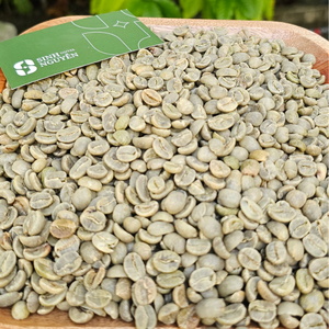 Specialty Green Arabica Coffee <b>Beans</b> Unroasted Honey Process Wholesale Bulk 60Kg Bag Factory Vietnam Export Choice Sale - Product Image 2