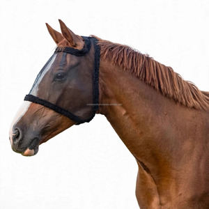 Couverture anti-mouches et anti-moustiques pour chevaux, protection auditive silencieuse, produit d'équitation pour le soin des chevaux - Product Image 2