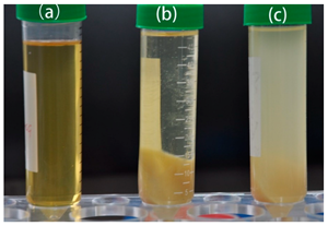 Aceite de Semilla de Jatropha Orgánico Crudo de Alta Calidad, Grado A1, para Jabón, Biocombustible e Industria Química, Suministro a Granel - Product Image 6