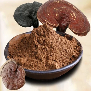 Poudre de Champignon Ganoderma Lucidum Bio en Gros, Extrait de Reishi 100% Pur, Superaliment pour l'Immunité et l'Énergie - Product Image 3