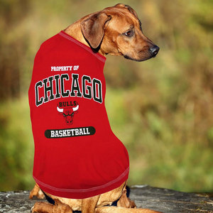 Pet Supplies Custom Dog Sweater Pet Clothing Dogs Jersey Warriors Dog <b>Cat</b> Hoodie <b>T</b> Shirt Medium Size Soft Breathable Pet Outfit - Product Image 4