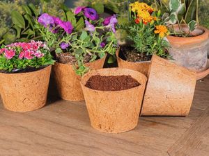 Pots à plantes en fibre de coco naturelle du Vietnam, pots à fleurs écologiques et biodégradables, fabricant en gros - Product Image 1