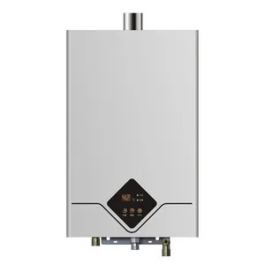 Rusland Hot Selling Gebalanceerde Type Gas Boiler Voor Thuis Baden Warm Water Boiler 10l 11l 12l 13l 16l Lpg Ng