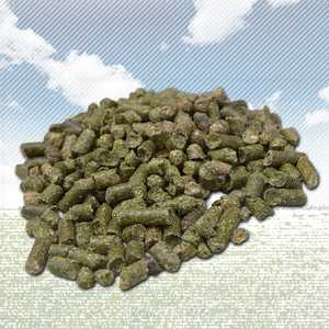 Pellets de Alfalfa de Primera Calidad para Nutrición Ganadera y Granjas Lecheras con Alto Contenido de Proteínas para Suministro a Granel - Product Image 6