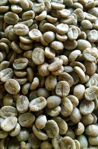 เมล็ดกาแฟเขียวโรบัสต้า เกรด AA+ คุณภาพดีที่สุด จากผู้ผลิตเวียดนาม  แบบขัดเปียก บรรจุถุงปอกระเจา 60 กก./ถุง - Product Image 2