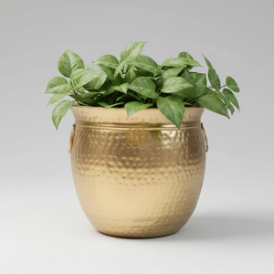 Maceta de Latón Martillado con Asas, Diseño Rústico Vintage, Macetero para Plantas de Interior, Decoración de Vegetación, Uso en Hogar y Jardín - Product Image 1