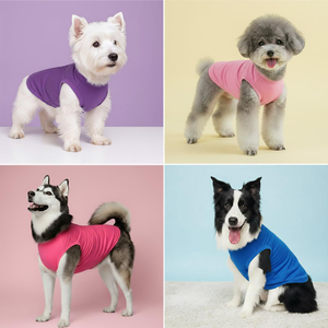 Ropa para Mascotas al por Mayor, Camiseta de Algodón para Perro, Chaleco para Cachorro de Colores, Ropa Ligera y Flexible para Gato de Color Sólido - Product Image 2