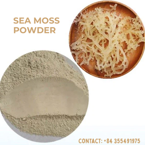 MUSGO MARINO ORGÁNICO NATURAL/ SECO/ ALGAS MARINAS DORADAS Y MORADAS SECAS DE VIETNAM/ PROCESAMIENTO EN BOLSA/ Sra. Alina - Product Image 3