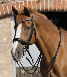2026 Racing Horse Riding <b>Reins</b> Anti Slip <b>Side</b> <b>Reins</b> Accessories Factory Manufacturer Supplier Durable Horse Riding <b>Reins</b> Bulk - Product Image 6