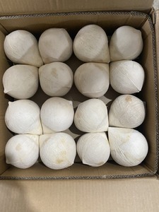EXPORT STANDARD Premium Whole <b>FRESH</b> PEELED Shell Young <b>Coconut</b> 750g 800g Ben Tre Vietnam Quality Healthy Natural Tropical Drink - Product Image 2