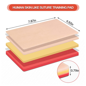 Kit d'entraînement à la suture avec coussin de suture de qualité supérieure et ensemble d'outils, à prix raisonnable, pour les étudiants en biologie et en anatomie. - Product Image 3